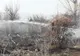ULTIMA ORĂ   Trei incendii de vegetație în același timp