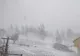 Ninge în Munții Vrancei