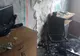 FOTO   Butelii scoase din flăcări de pompieri, la Gura Caliței