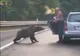VIDEO NU MAI HRĂNIȚI URȘII! Un vrâncean s-a apropiat periculos de mult pentru a hrăni un urs