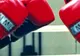 Campioni la box, la juniori, așteptați vineri, la Gugești