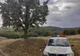 A fost găsit și al doilea cioban dispărut de la stâna din Bordești