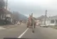 VIDEO Dorel lovește la Soveja