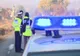 Ministrul Vela anunță înființarea Poliției Animalelor. Ce măsuri vor putea fi luate