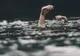 Un băiat de 8 ani din Boţârlău s-a înecat în albia râului Putna
