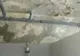 VIDEO REVOLTĂTOR! Ploșnițe, mucegai și condiții infecte la Centrul pentru Persoane cu Handicap Odobești!