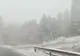 VIDEO Ninsoare pe Ojdula