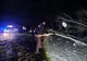 VIDEO Intrarea în Tulnici - blocată de arborii doborâți de vântul puternic