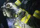 Un om a murit într-un incendiu la Nănești. Pompierii au reușit să salveze trei cățeluși