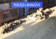 10 suspecți acuzați că au furat componente auto au fost reținuți!