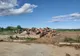 Descinderi la toporatorii din Vrancea - confiscări, amenzi și dosare penale în domeniul silvic