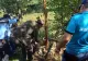 VIDEO Urs prins în gard la Nistorești, eliberat de autorități