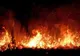 ALBANIA ȘI BULGARIA CER AJUTOR EUROPEAN PENTRU A FACE FAȚĂ INCENDIILOR DE VEGETAȚIE