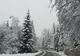 Meteo: cod galben de ninsoare și vânt puternic până luni seară