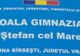 Contabilul Primăriei Bîrsești, declarat incompatibil