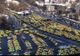 Taximetriști din Focșani, prezenți la protestul din București