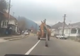 VIDEO Dorel lovește la Soveja