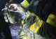 Un om a murit într-un incendiu la Nănești. Pompierii au reușit să salveze trei cățeluși