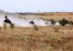 MApN: INCIDENT PE UN POLIGON NATO DIN POLONIA. UN SISTEM GEPARD ROMÂNESC A LOVIT UN SAT DIN APROPIERE